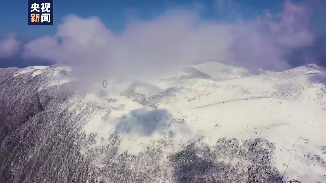 铁笼中的小鹿逃脱